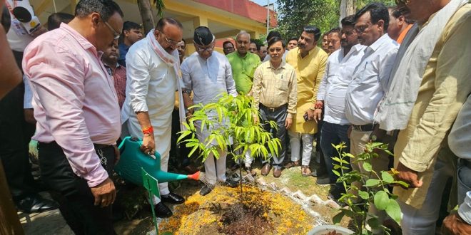 कृषि विपणन मंत्री ने किसानों-व्यापारियों के सम्मान के साथ रोपे पौधे