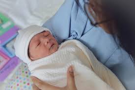 1 से 7 जुलाई तक जन्म लेने वाले बच्चों को अब ग्रीन गोल्ड सर्टिफिकेट के साथ पौधे भी दिए जाएंगे