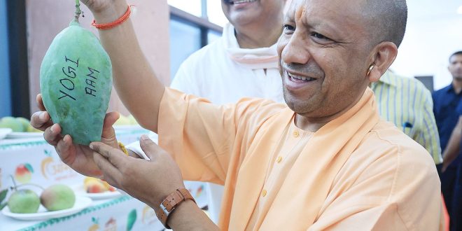 जब आम महोत्सव में योगी आम लिखा देख मुस्कुराने लगे सीएम योगी
