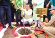 हरेला पर्व पर प्रदेशभर में रोपे गए लाखों पौधे, CM धामी ने रोपा रुद्राक्ष का पौधा