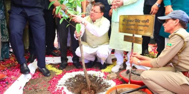 हरेला पर्व पर प्रदेशभर में रोपे गए लाखों पौधे, CM धामी ने रोपा रुद्राक्ष का पौधा