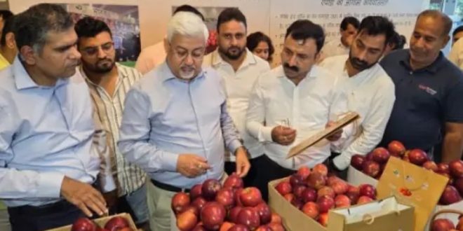 दून से दुबई रवाना हुई गढ़वाली सेब की पहली खेप,  किसानों को मिलेगा वैश्विक बाजार से जुड़ाव