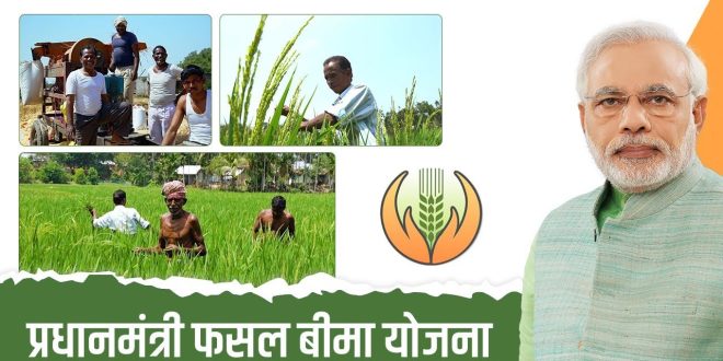 प्रधानमंत्री फसल बीमा योजना तहत रबी फसलों के लिए बीमा कराने की अंतिम तिथि 31 दिसंबर तय