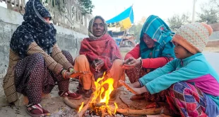 उत्तर भारत में ठंड का कहर: यूपी में ‘एक्स्ट्रीम कोल्ड डे’, दिल्ली में 6 डिग्री तक लुढ़केगा पारा; IMD का कोहरा-शीतलहर अलर्ट