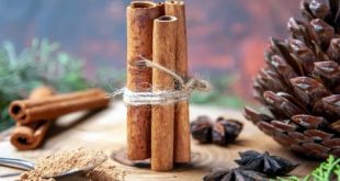 बदलती जीवनशैली और गलत खानपान का असर अब सीधे सेहत पर दिखाई देने लगा है। जंक फूड, फिजिकल एक्टिविटी की कमी और देर रात तक जागने की आदत