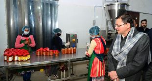 मशरूम ग्राम उत्तराखंड, सीएम पुष्कर सिंह धामी, हरिद्वार बुग्गावाला, किसानों की आय बढ़ाने की योजना, उत्तराखंड कृषि नवाचार, मशरूम उत्पादन लाभ, Mushroom Village Uttarakhand, CM Pushkar Singh Dhami news, Haridwar Mushroom Gram, farmer income scheme India, mushroom farming benefits