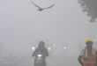 UP Weather Update: बर्फीली पछुआ हवाओं से कांपा यूपी, लुढ़का तापमान; लखनऊ समेत कई शहरों में शीत दिवस का येलो अलर्ट