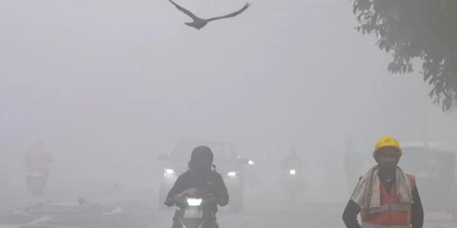 कड़ाके की ठंड, घना कोहरा अलर्ट, मौसम समाचार, उत्तर भारत मौसम, दिल्ली मौसम अपडेट, बारिश और बर्फबारी, न्यूनतम तापमान गिरा, IMD Weather Alert, Cold Wave in India, Dense Fog Alert, North India Weather, Delhi NCR Weather Today, Rainfall and Snowfall Forecast, Temperature Drops in India