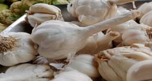 स्वाद ही नहीं, सेहत का भी सुपरफूड है लहसुन; कोलेस्ट्रॉल, बीपी से लेकर हार्ट तक रखता है फिट