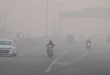 Delhi NCR Fog Update: घने कोहरे की गिरफ्त में दिल्ली-NCR, विजिबिलिटी 5 मीटर से भी कम; फ्लाइट-ट्रेन लेट, IGI एयरपोर्ट की एडवाइजरी जारी