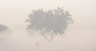 नोएडा कोहरा एडवाइजरी, कोहरे में ड्राइविंग टिप्स, सड़क सुरक्षा सलाह, नोएडा प्रशासन चेतावनी, सर्दियों में ड्राइविंग सावधानियां, Fog driving advisory Noida, Winter driving tips India, Road safety in fog, Noida traffic advisory, Foggy weather driving precautions