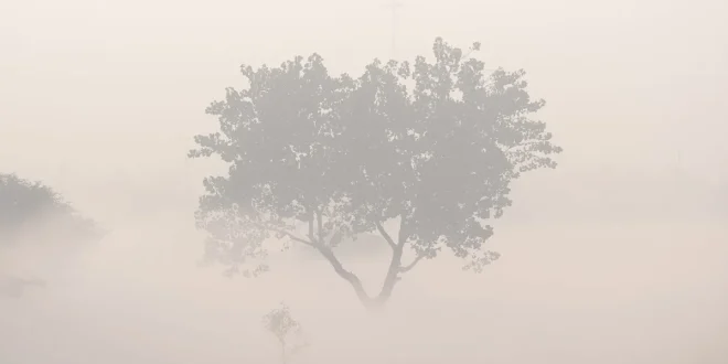 नोएडा कोहरा एडवाइजरी, कोहरे में ड्राइविंग टिप्स, सड़क सुरक्षा सलाह, नोएडा प्रशासन चेतावनी, सर्दियों में ड्राइविंग सावधानियां, Fog driving advisory Noida, Winter driving tips India, Road safety in fog, Noida traffic advisory, Foggy weather driving precautions