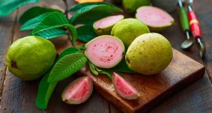 अमरूद के फायदे, Guava health benefits, आयुर्वेद का अमृतफल, Ayurveda amrit phal, सर्दियों में अमरूद खाने के फायदे, benefits of eating guava in winter, अमरूद पोषक तत्व, guava nutrition, इम्युनिटी बढ़ाने वाले फल, immunity boosting fruits, डायबिटीज में अमरूद, guava for diabetes, पाचन के लिए अमरूद, guava for digestion
