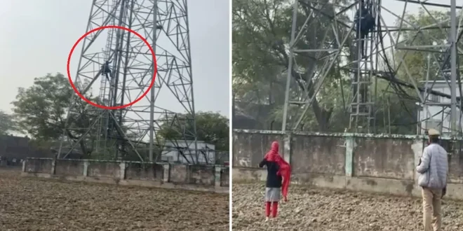 उत्तर प्रदेश के औरैया जिले में साली के प्रेम में पागल एक युवक ने उस वक्त हड़कंप मचा दिया, जब वह मोबाइल टावर पर चढ़ गया और करीब तीन घंटे तक हाई वोल्टेज ड्रामा