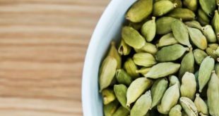 इलायची के बीज के फायदे, इलायची पानी पीने के लाभ, गर्म पानी में इलायची, इलायची से वजन कम, इलायची डायबिटीज कंट्रोल, इलायची दिल के लिए फायदेमंद, cardamom seeds benefits, cardamom water benefits, elaichi water for weight loss, cardamom for digestion, cardamom for diabetes, health tips Hindi