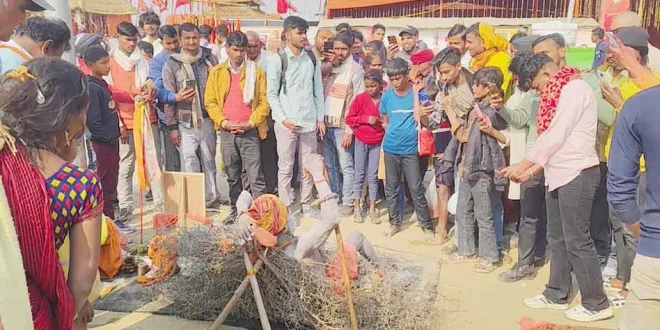 कांटों की सेज पर तपस्या! माघ मेले में बिहार के साधु की कठिन साधना बनी आकर्षण का केंद्र, देखने उमड़ रही भीड़