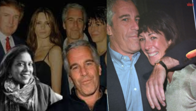 Photo of DOJ ने जारी किए एपस्टीन फाइल्स के 30 लाख से अधिक पन्ने, मीरा नायर का नाम भी है शामिल