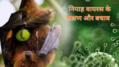 Photo of निपाह वायरस के खतरे के बीच शुरू हुई स्क्रीनिंग, बचने के लिए बरते ये सावधानियां