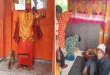 4 दिन से मंदिर की परिक्रमा कर रहा भूखा-प्यासा कुत्ता, गांव में उमड़ी आस्था की भीड़; डॉक्टर की दलील पर भारी पड़े श्रद्धालु