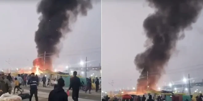 प्रयागराज माघ मेले में भीषण आग, सेक्टर-5 में हड़कंप, 5 किमी दूर तक दिखीं लपटें, 50 कल्पवासी सुरक्षित