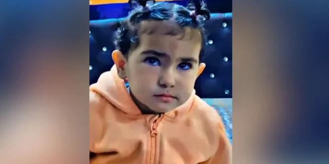 यूपी के मुरादाबाद में दिल दहला देने वाली घटना: 4 साल की बच्ची को उठा ले गया आवारा कुत्तों का झुंड, नोंच-नोंचकर मार डाला