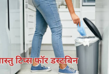 Photo of वास्तु टिप्स: आपकी किस्मत बदल सकता है घर का कूड़ादान, बस जान लें रखने की सही दिशा