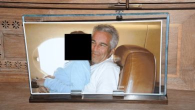 Photo of जेफरी एपस्टीन फाइल्स से बढ़ा तनाव, स्लोवाकिया में शीर्ष अधिकारी ने दिया इस्तीफा