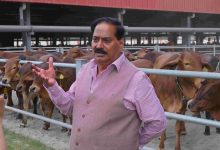 Photo of भारत में बड़े स्तर पर पहली बार गिर गाय एम्ब्रियो ट्रांसफर को सफलता पूर्वक संचालित किया गया