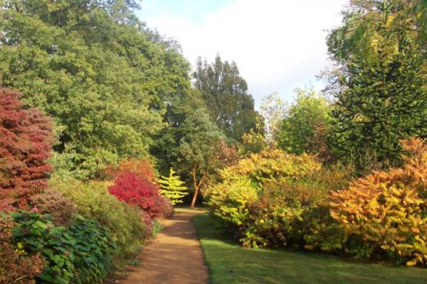 Noida Botanical Garden