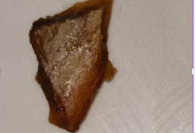 Photo of वेज थाली में मांस का टुकड़ा निकलने से बड़ा हंगामा