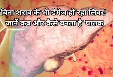 Photo of सावधान! लिवर पर जमी चर्बी बन सकती है जानलेवा, जानें- फैटी लिवर कब बनता है मौत की वजह, ऐसे करें बचाव