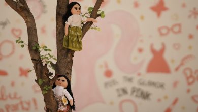 Photo of रिसाइकिल गुड़िया ‘नन्ही कली’ से आत्मनिर्भर बनेंगी बागपत की बेटियाँ…बागपत में ‘नन्ही कली’ का सम्मान करेंगी मैरीकॉम