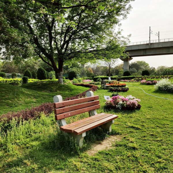 Noida Botanical Garden