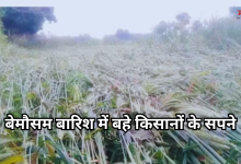 Photo of यूपी में बेमौसम बारिश-ओलावृष्टि ने मचाया कोहराम, फसलें नष्ट, रो पड़े किसान