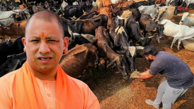 Photo of गो संरक्षण से ग्रामीण अर्थव्यवस्था को मिलेगी नई उड़ान, महिलाओं को मिलेगा जिम्मा, बढ़ेगी आय