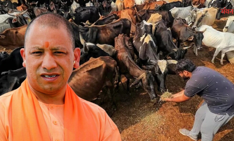 गो संरक्षण