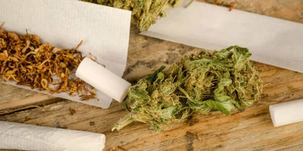 Cannabis and Tobacco Shrinking the Brain