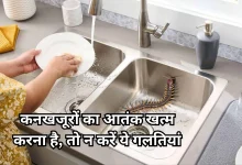 Photo of क्या आपके भी किचन सिंक और बाथरूम में कनखजूरों ने जमा लिया है डेरा?, इन 5 तरीकों से हटाएं
