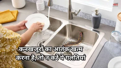 Photo of क्या आपके भी किचन सिंक और बाथरूम में कनखजूरों ने जमा लिया है डेरा?, इन 5 तरीकों से हटाएं