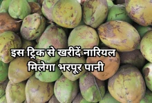 Photo of दुकानदार ने बताई ट्रिक, इन खास तरीकों से चुनें नारियल, नहीं खाएंगे धोखा, मिलेगा भरपूर पानी