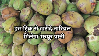 Photo of दुकानदार ने बताई ट्रिक, इन खास तरीकों से चुनें नारियल, नहीं खाएंगे धोखा, मिलेगा भरपूर पानी