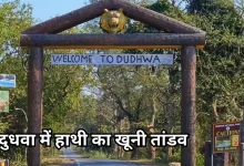 Photo of दुधवा नेशनल पार्क में हृदय विदारक घटना, बेकाबू ‘विनायक’ ने अपने ही सेवक को कुचलकर मार डाला