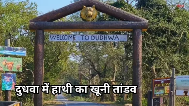 Photo of दुधवा नेशनल पार्क में हृदय विदारक घटना, बेकाबू ‘विनायक’ ने अपने ही सेवक को कुचलकर मार डाला