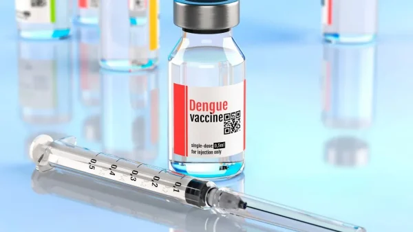Dengue Vaccine