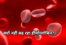 Photo of हेल्थ टिप्स: एक्सरसाइज और अच्छी डाइट लेने के बाद भी क्यों नहीं बढ़ रहा हीमोग्लोबिन?