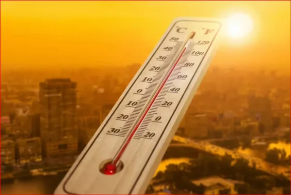 Onion For Heatstroke