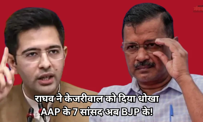 Raghav Chadha,