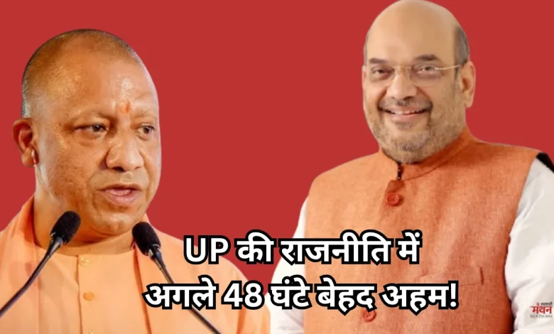 Yogi cabinet expansion