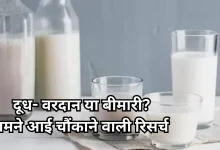 Photo of क्या दूध पीने से हो सकता है पार्किंसन, जानिए क्या कहते हैं हेल्थ एक्सपर्ट
