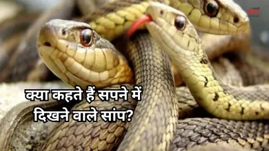 Photo of सपने में दिखने वाले ये सांप बदल सकते हैं आपकी जिंदगी, न करें नजरंदाज